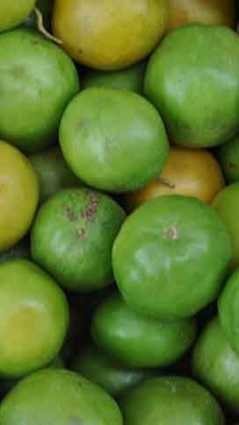 Benefícios e Como Consumir