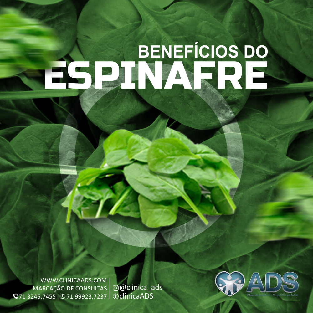 Alimentos ricos em ferro para combater anemia