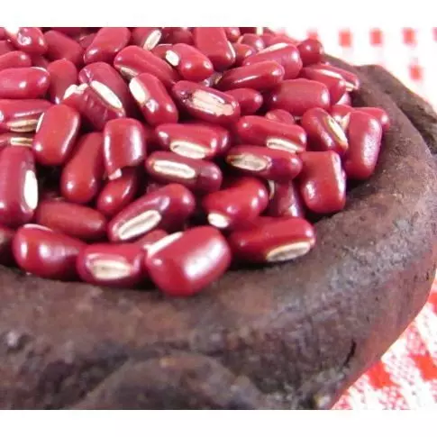 Receitas com Feijão Azuki: Doces e Salgadas