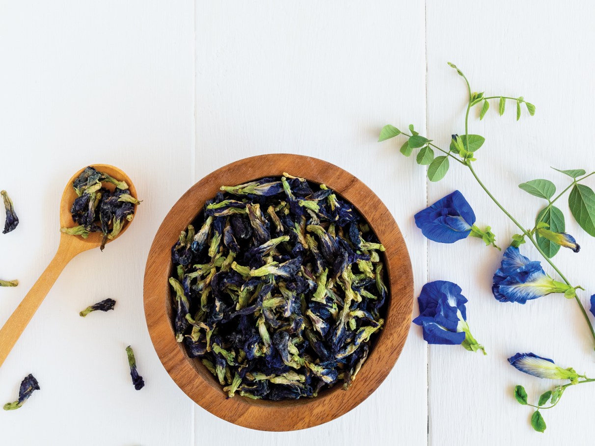 benefícios do feijão borboleta