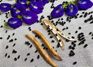 Chá azul: a bebida que muda de cor e faz bem para a saúde