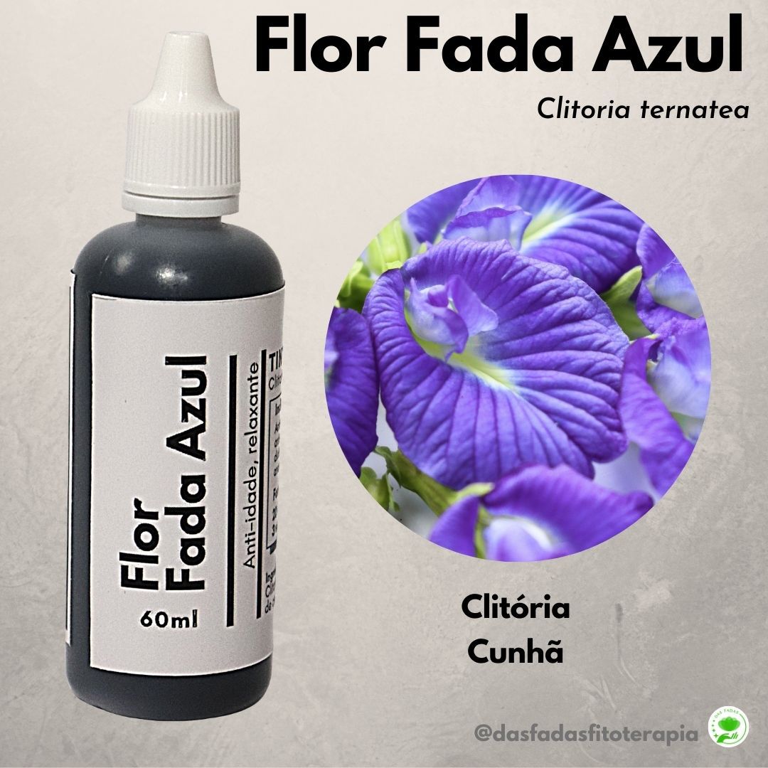 Como fazer chá azul em casa