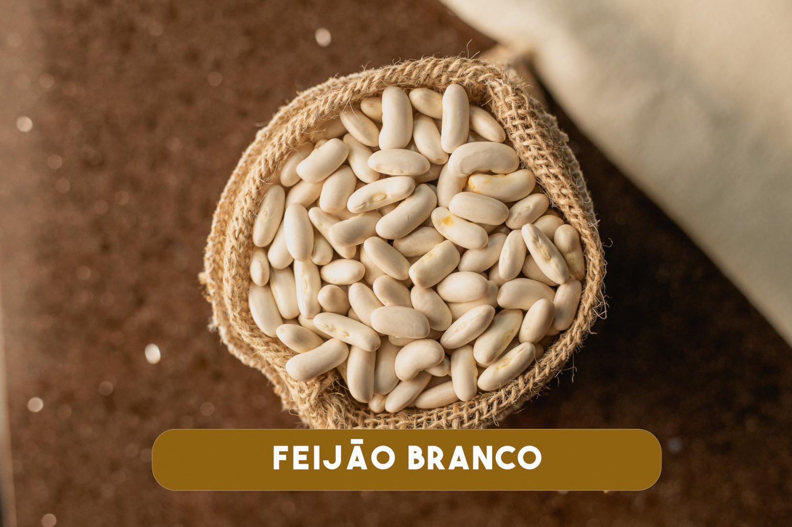 A farinha de feijão branco: usos e benefícios