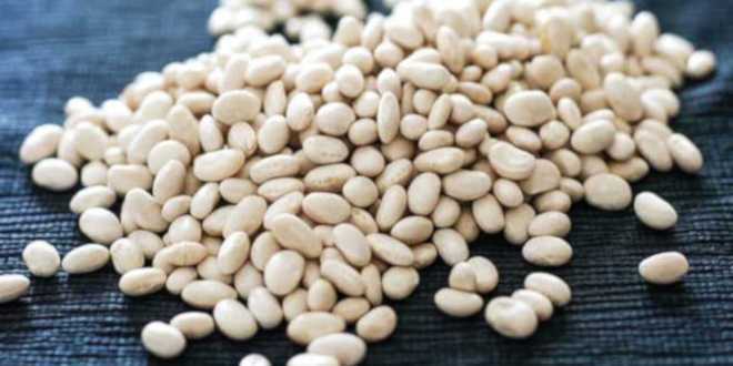 Feijão branco vs. outros feijões: qual o mais nutritivo?