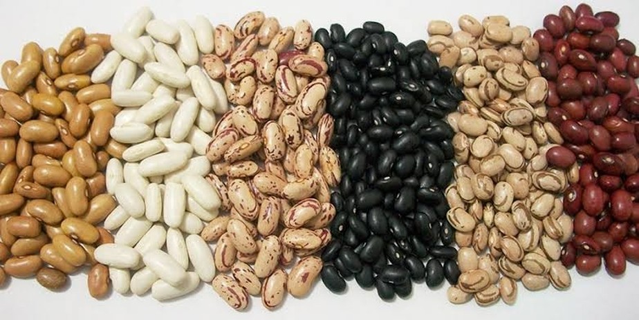 O Papel do Feijão Carioca na Prevenção de Doenças Crônicas