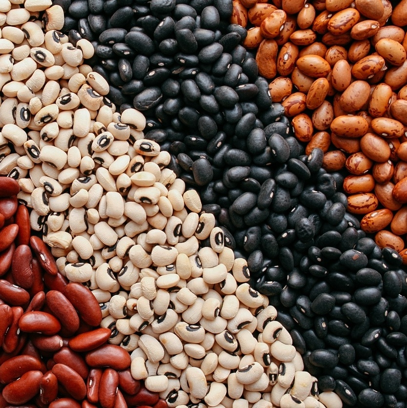 Mitos e Verdades sobre o Consumo de Feijão Carioca