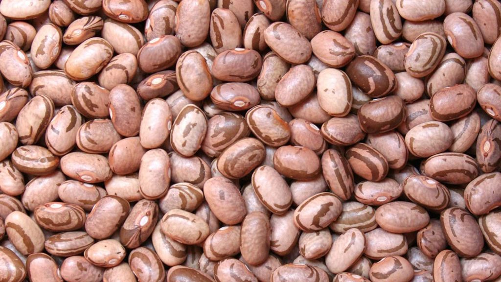 benefícios do feijão carioca