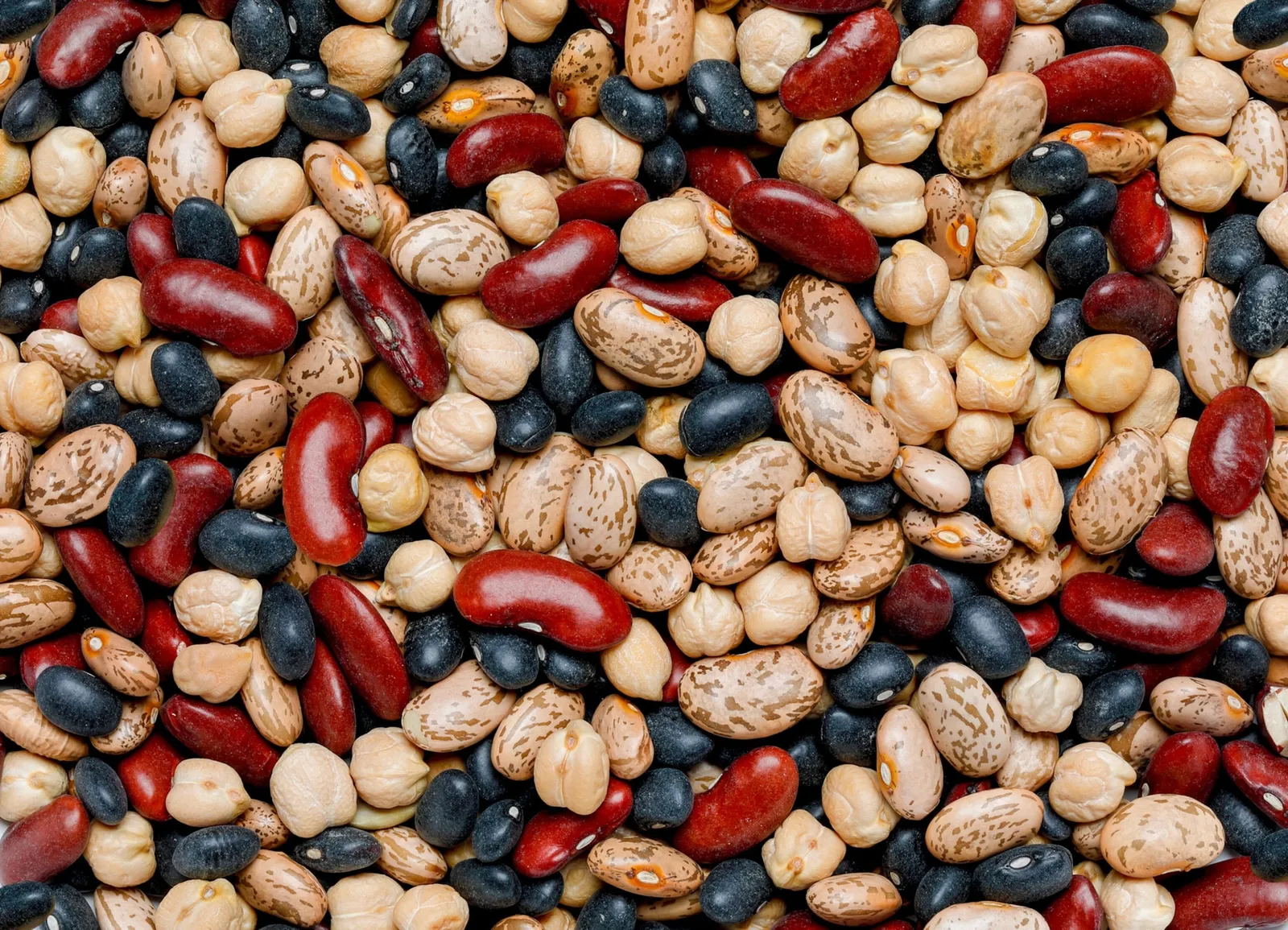 Receitas Saudáveis com Feijão Carioca para o Dia a Dia