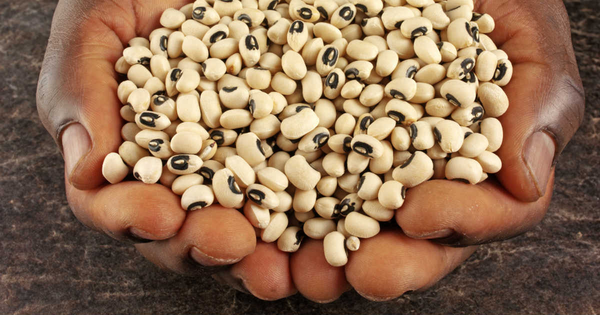 Feijão Fradinho na Gravidez: Guia Completo