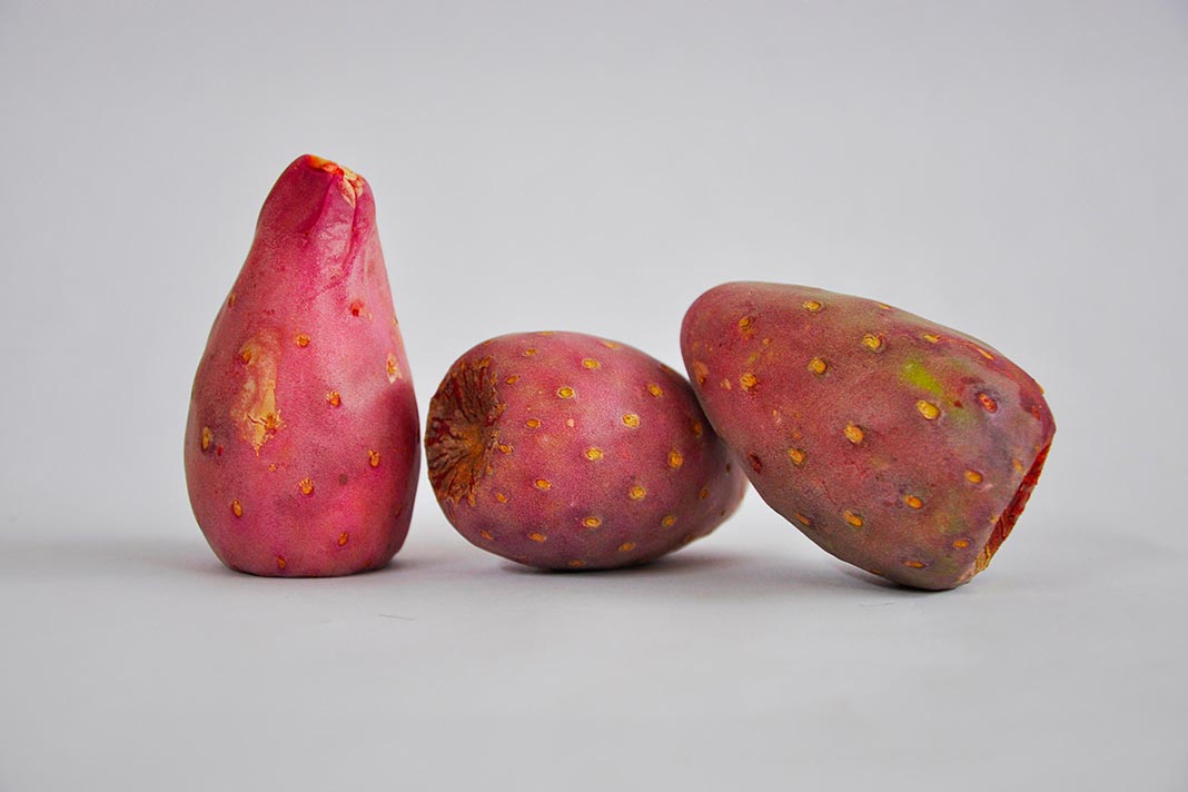 Receitas saudáveis com figo da índia: sucos e geleias