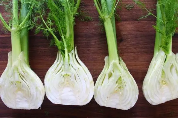 5 Receitas Incríveis com Bulbo de Funcho