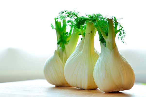 Guia Completo do Chá de Funcho: Benefícios e Preparo