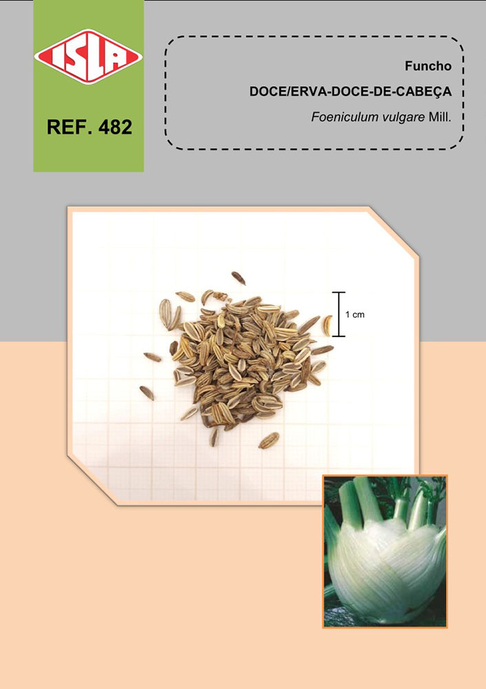 Guia Completo do Chá de Funcho: Benefícios e Preparo