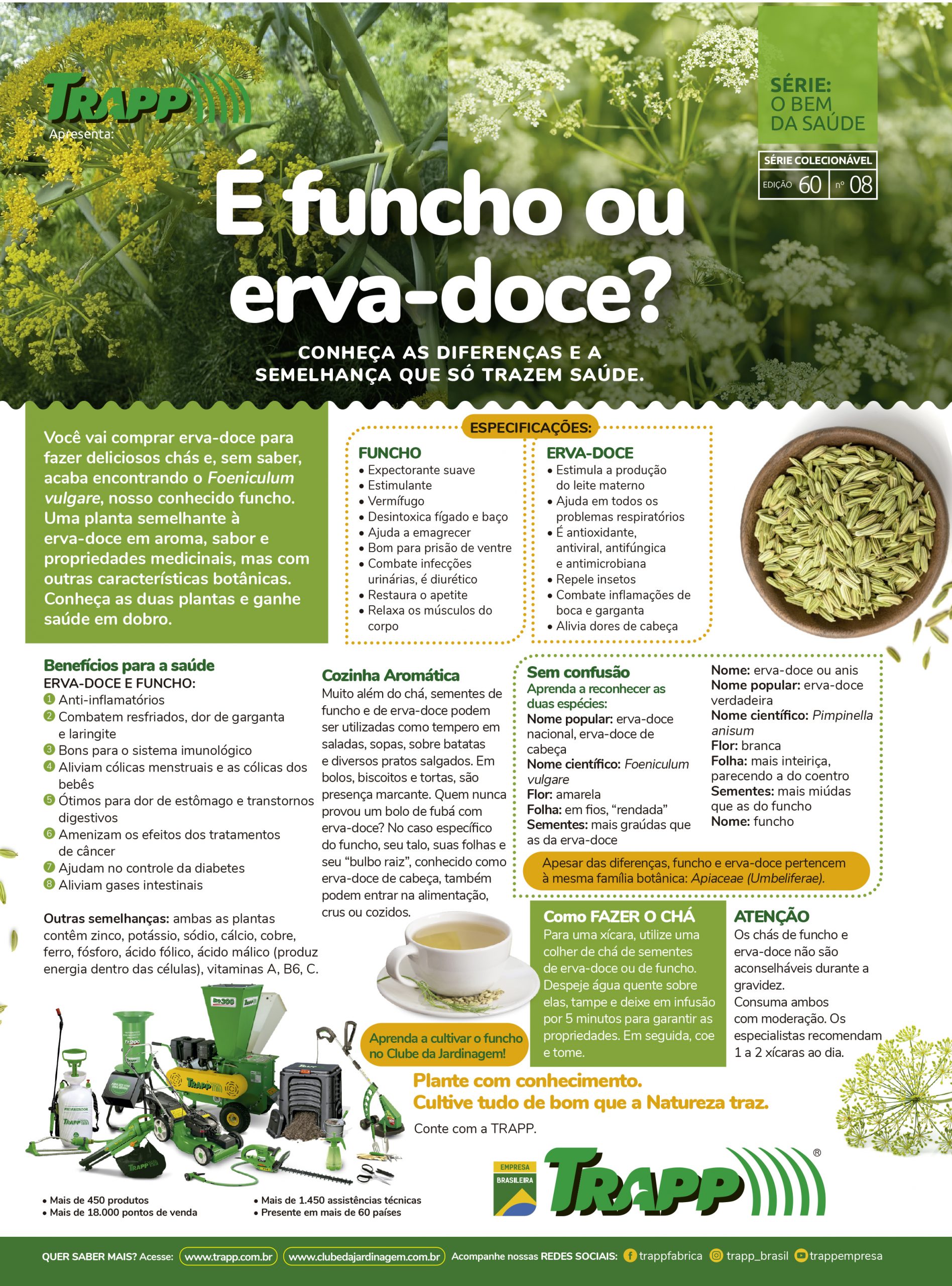 Funcho vs. Erva-Doce: Entenda as Diferenças Cruciais