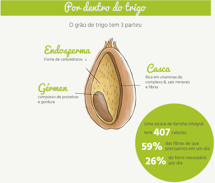 benefícios do gérmen de trigo