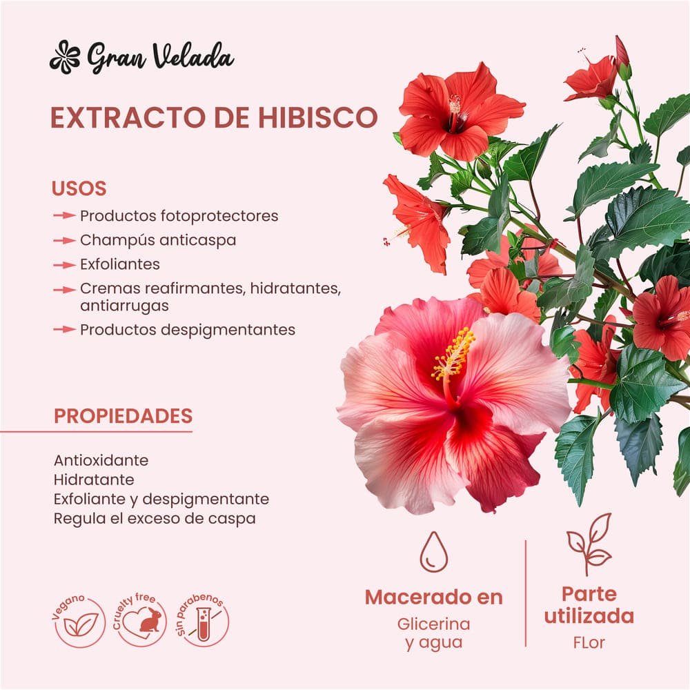 5 Maneiras Criativas de Usar Vinagreira na Culinária