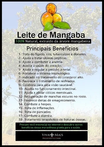 Como usar o látex de mangaba para cicatrização