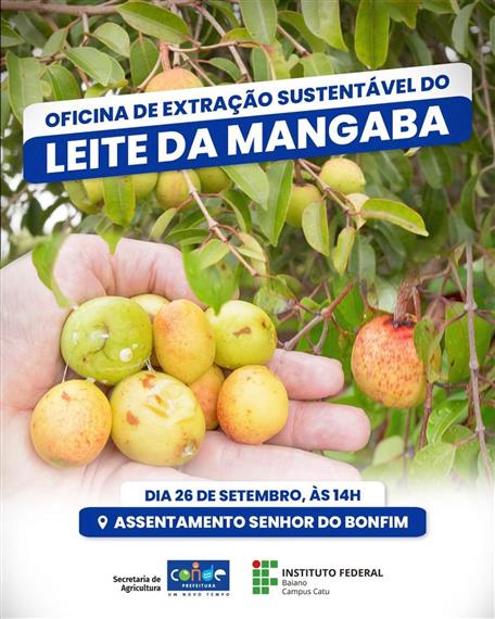 Diferenças entre o látex de mangaba e o de seringueira