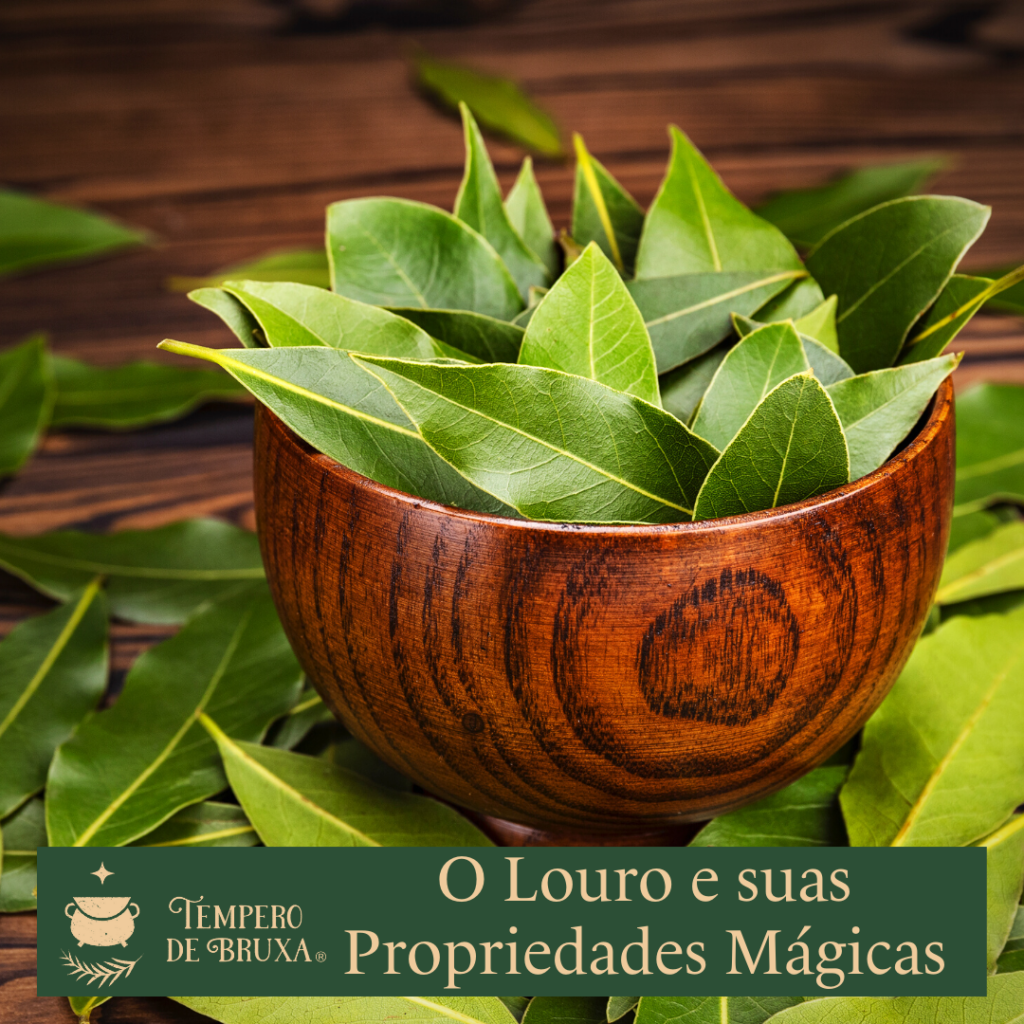 benefícios do louro