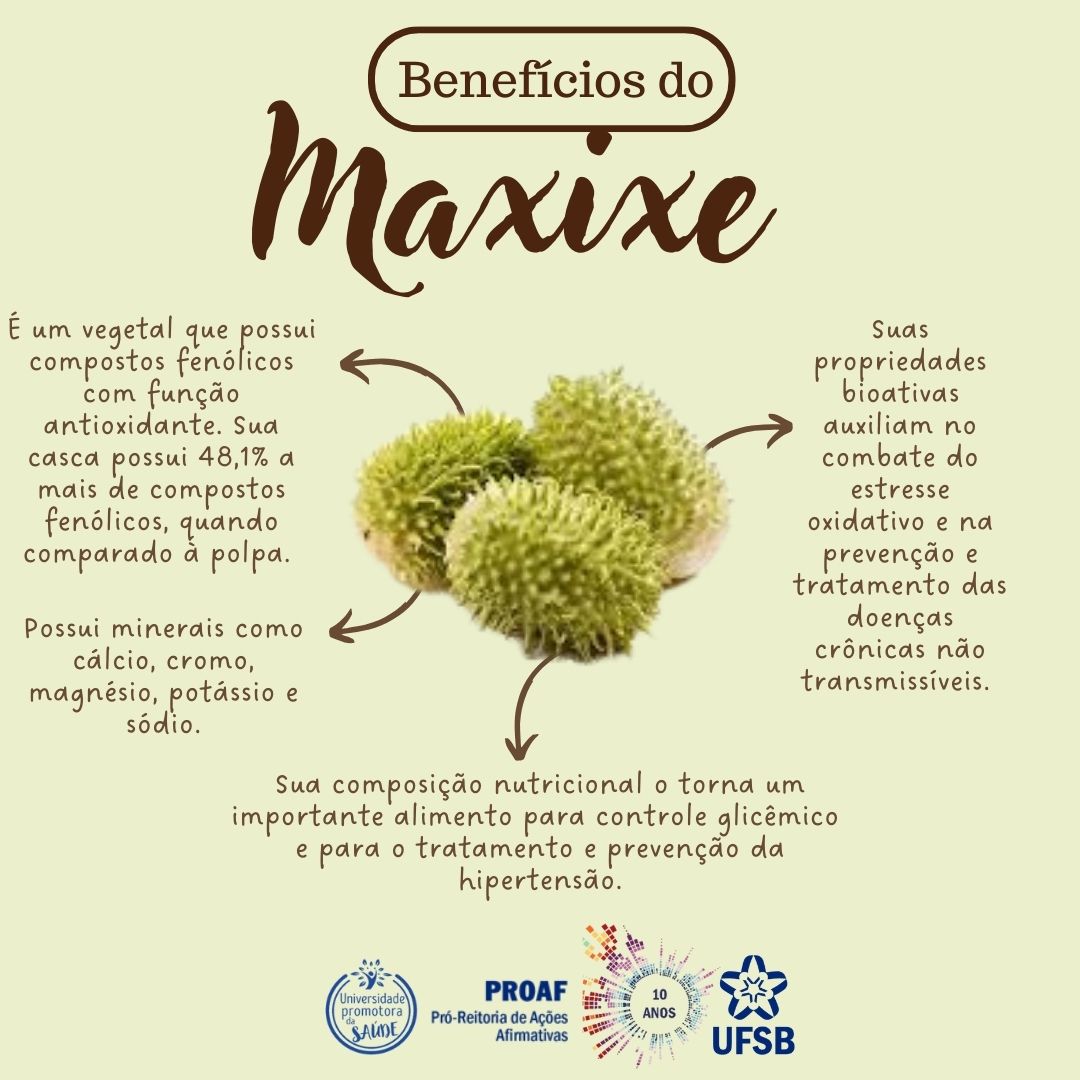 benefícios do maxixe para a saúde
