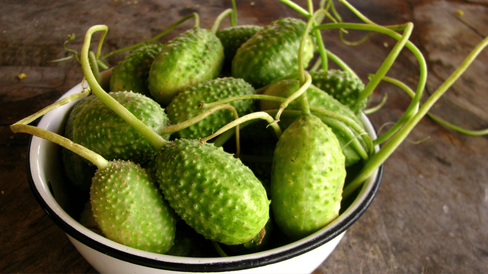 Receitas fáceis com maxixe para o dia a dia