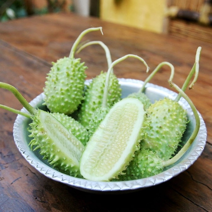 Os benefícios do zinco presente no maxixe para a pele