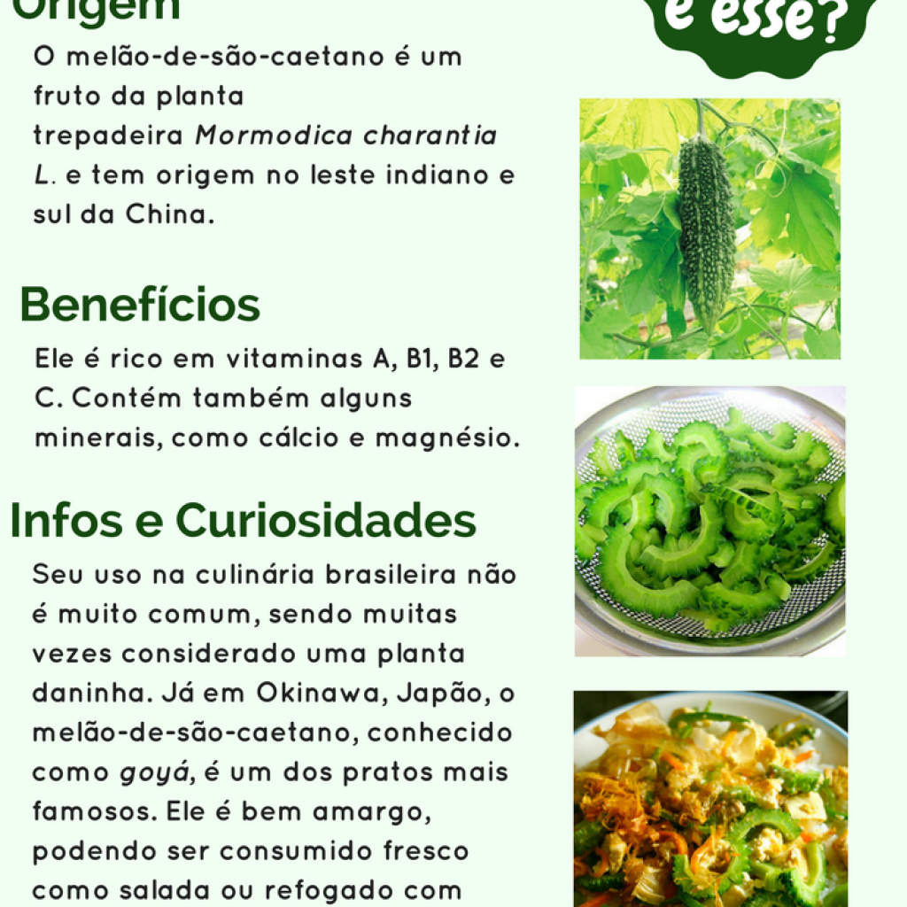 Como fazer chá de melão de são caetano