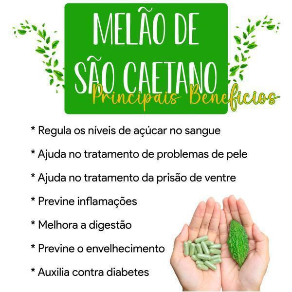 Efeitos colaterais e contraindicações do melão de são caetano