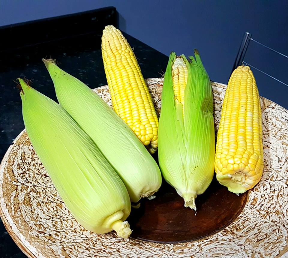 benefícios do milho verde para a visão