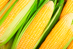 Outras Fontes de Luteína e Zeaxantina