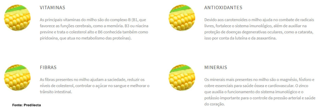 Dieta para Saúde da Retina: Alimentos Essenciais