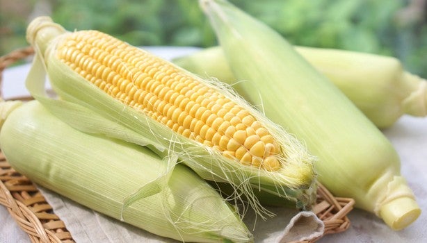 Benefícios do Milho para a Saúde Geral do Corpo