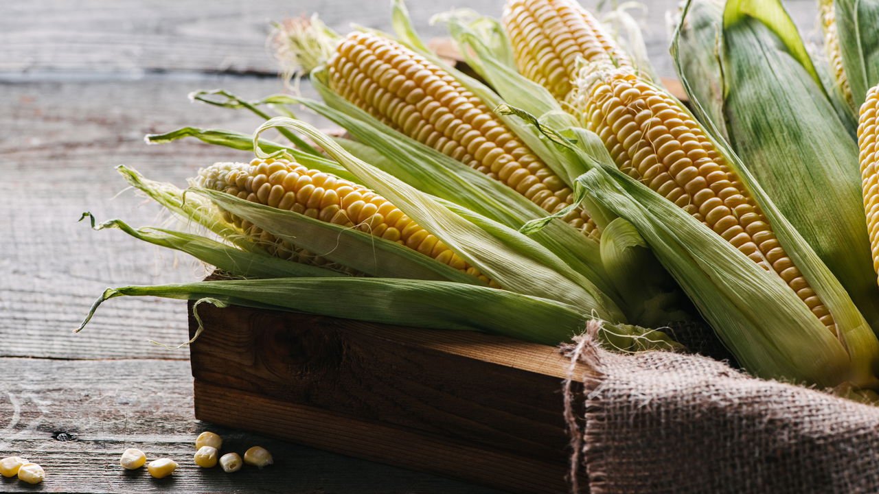 Outras Fontes de Luteína e Zeaxantina