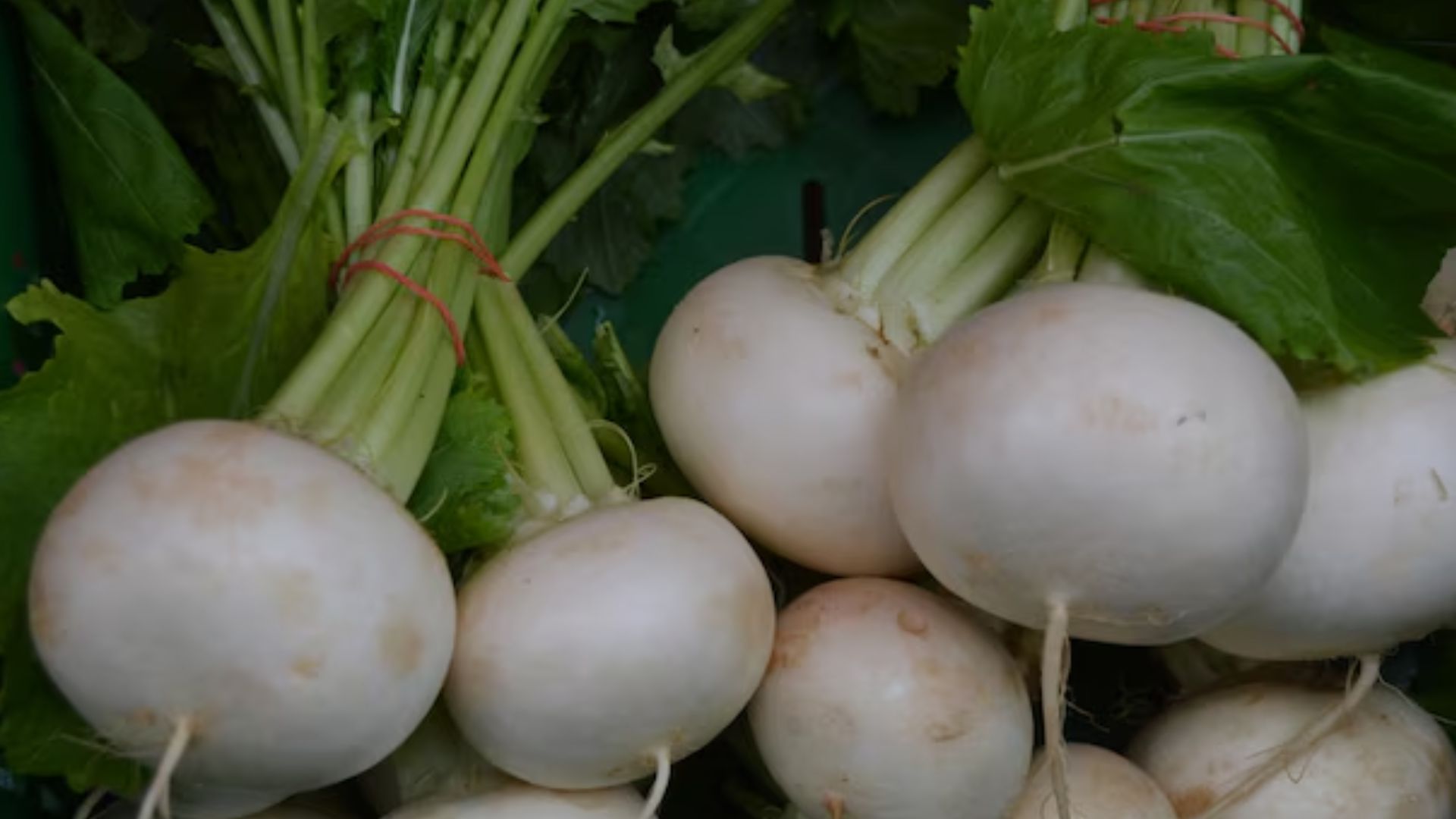 Como o nabo auxilia na perda de peso