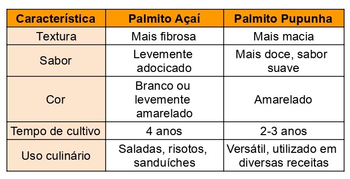5 receitas saudáveis com palmito fresco
