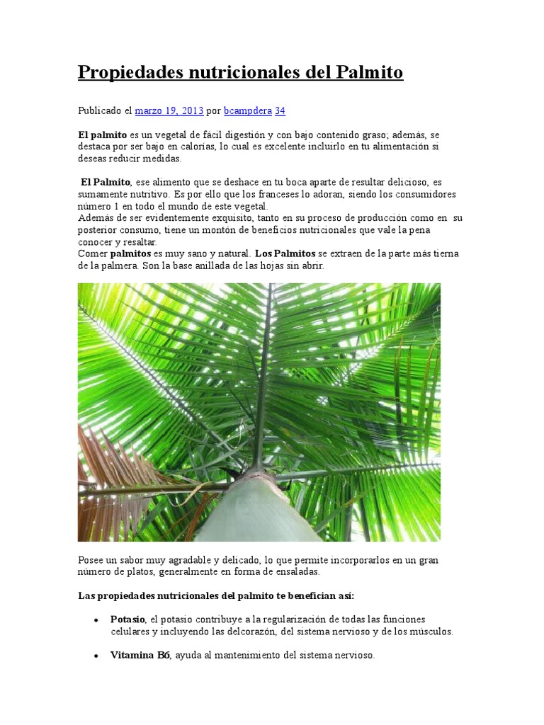 Os perigos do botulismo e como evitá-los ao consumir palmito