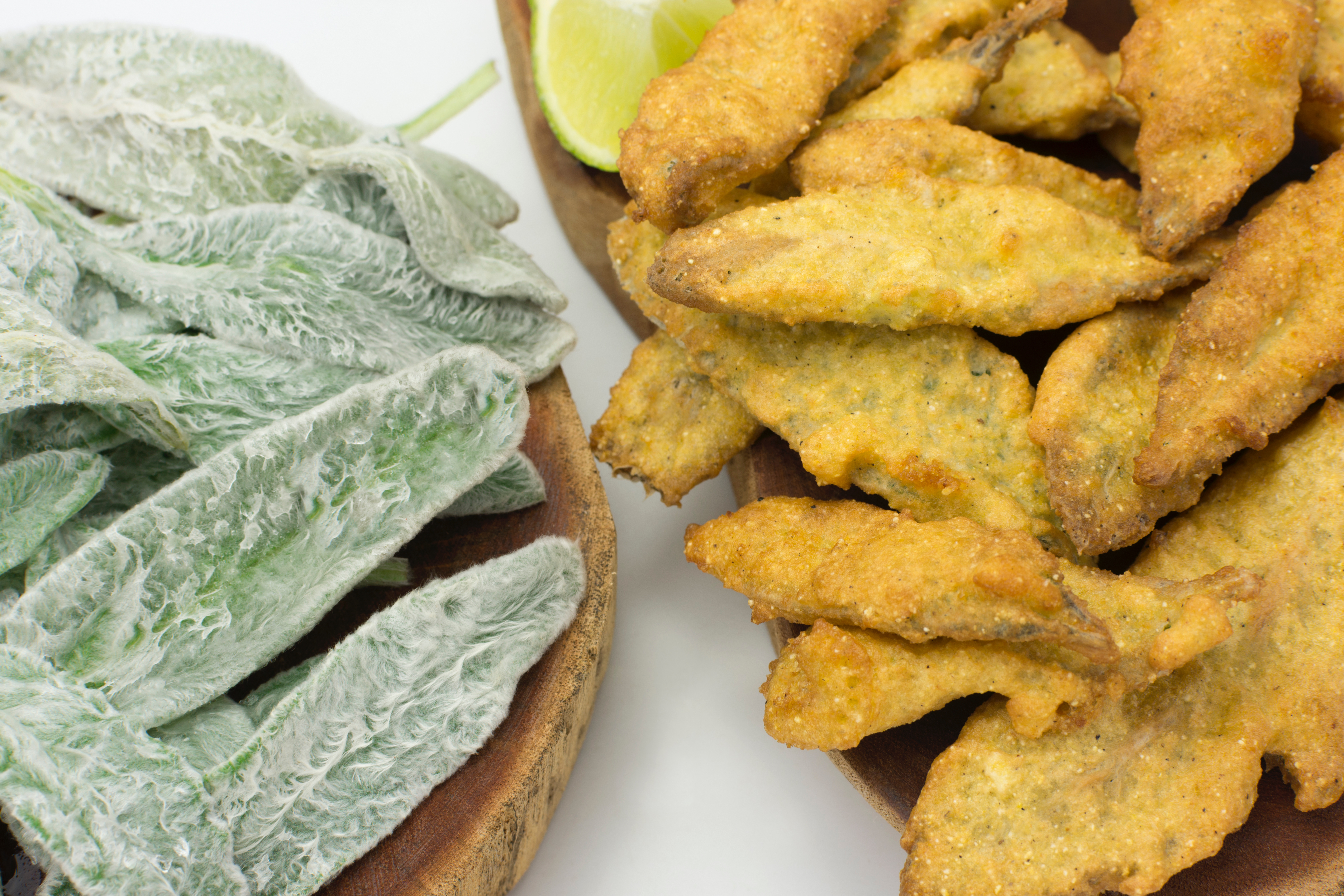 Chá de Peixinho da Horta para Tosse: Benefícios e Modo de Preparo