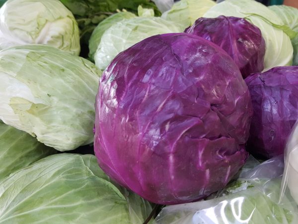 Receitas saudáveis com repolho roxo