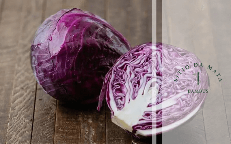 Receitas saudáveis com repolho roxo