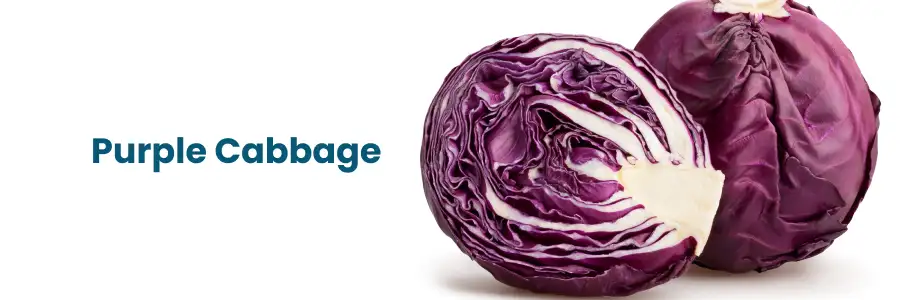 Como o repolho roxo combate inflamações