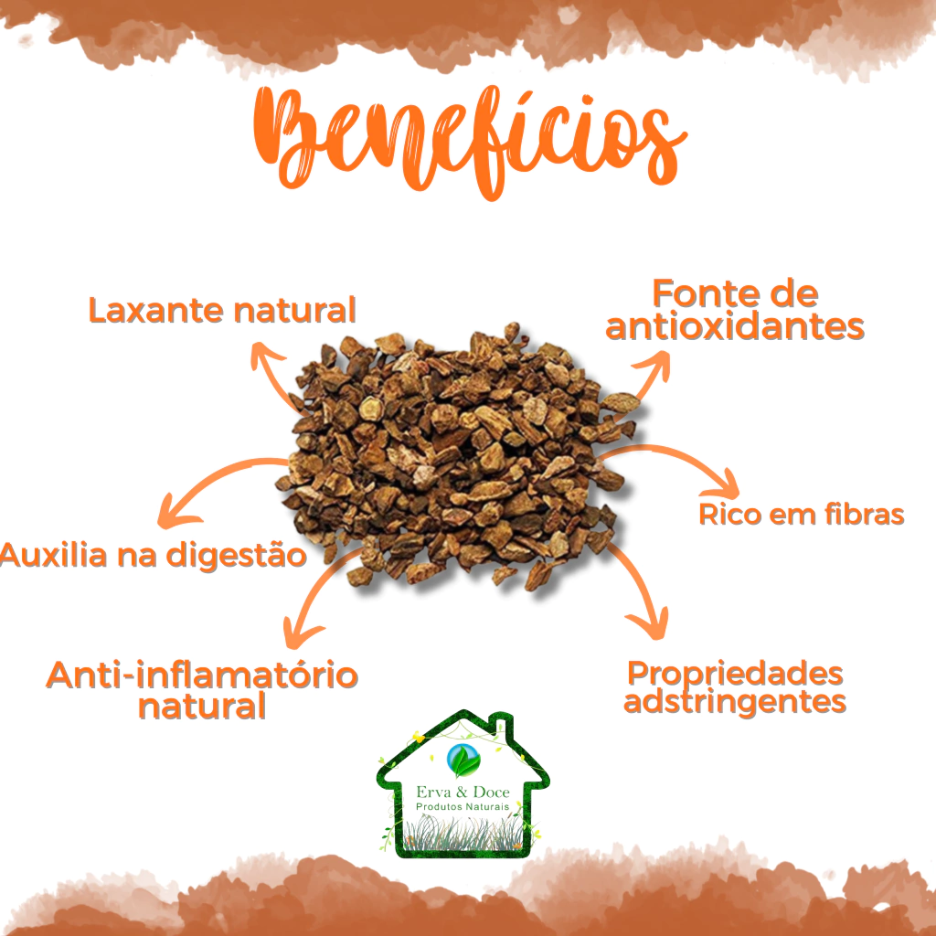Ruibarbo vs. Azedinha: Entenda as diferenças e usos