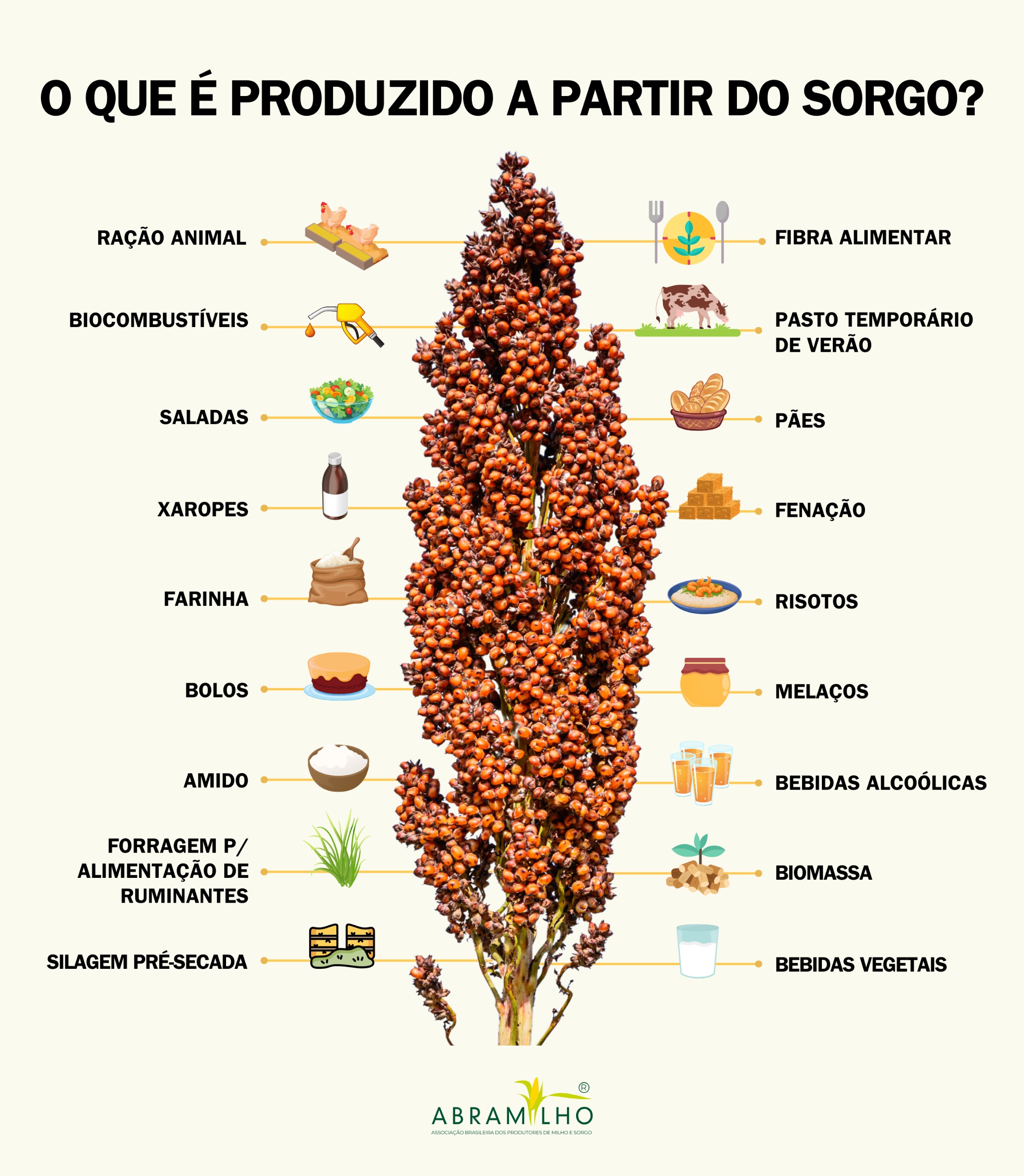 benefícios do sorgo