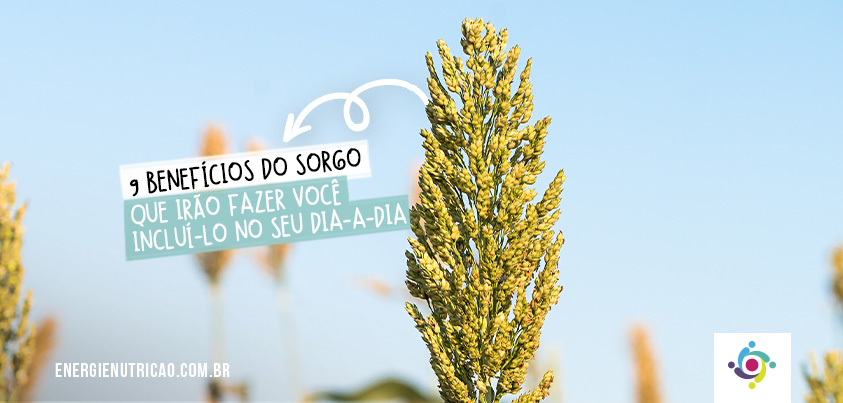 O poder antioxidante do sorgo: Como ele combate o envelhecimento precoce