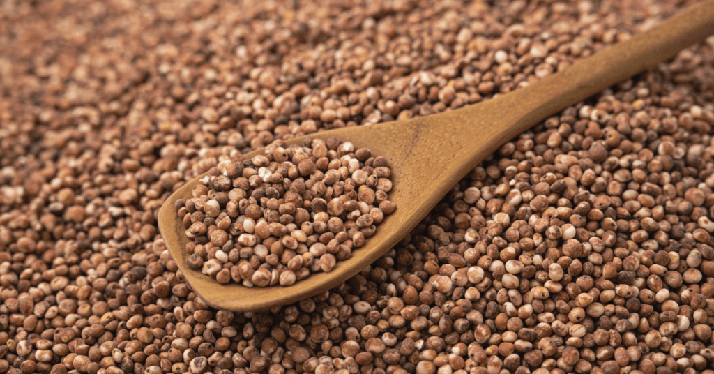 Pipoca de sorgo: Uma alternativa saudável e crocante para seus lanches