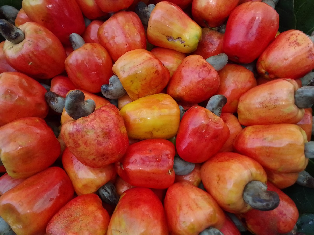 Receita de Suco de Caju Potencializado