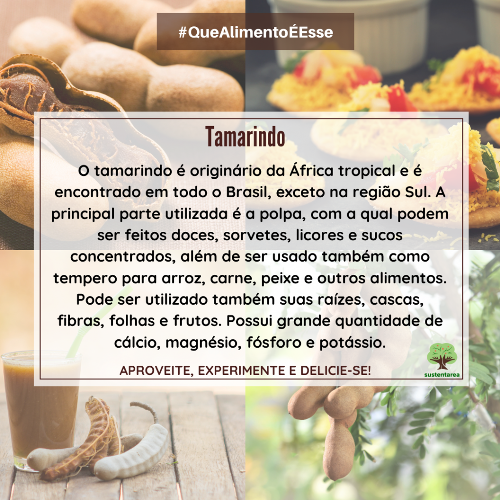 Receita de Suco de Tamarindo Refrescante