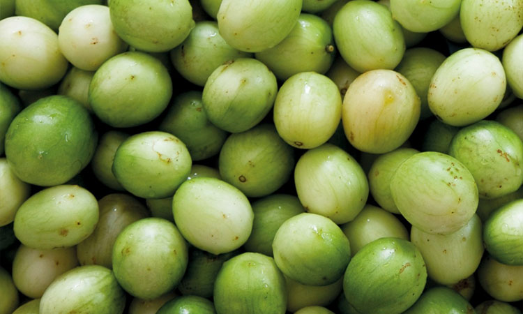 O Poder Antioxidante do Umbu: Combata o Envelhecimento Precoce