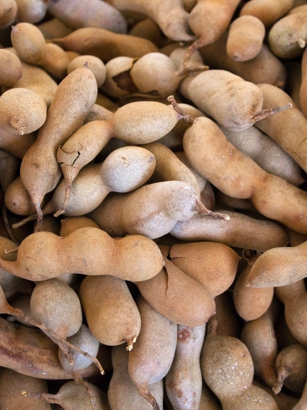 Como fazer chá de tamarindo para constipação