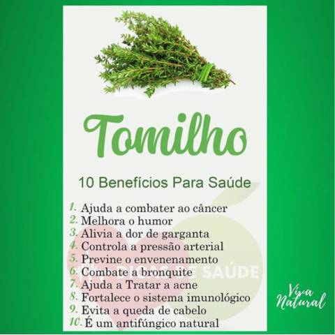 Receitas fáceis com tomilho para o dia a dia