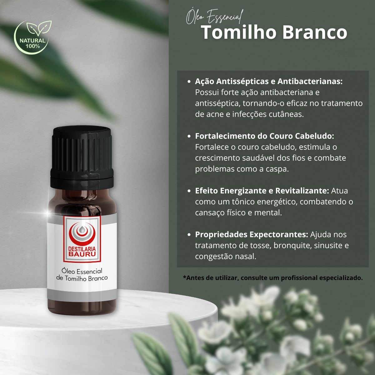 O cultivo de tomilho em casa: Dicas para iniciantes
